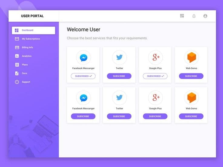 Custom Web Portal Development Banner